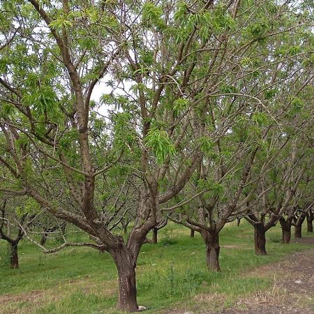 אסטפה Casas Rurales Cortijo La Canada מראה חיצוני תמונה