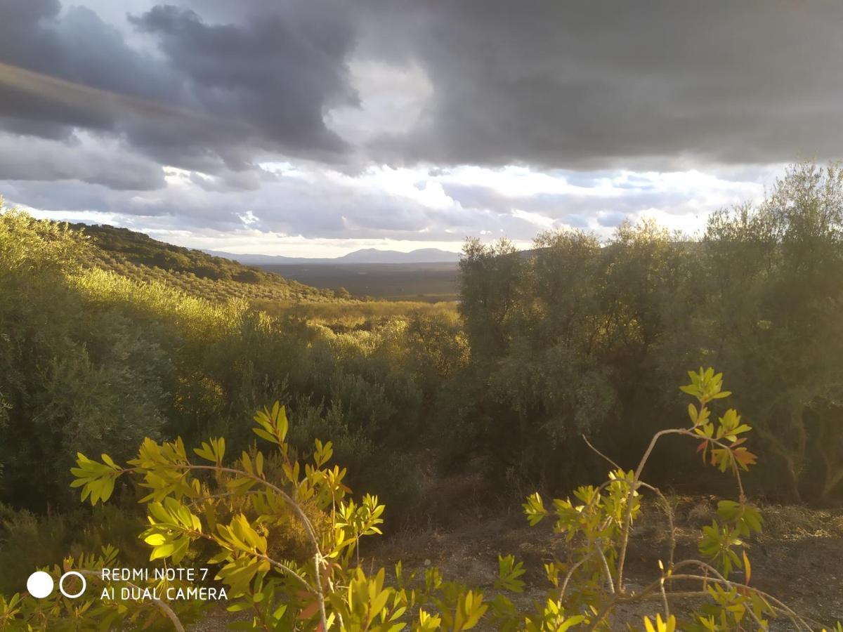 אסטפה Casas Rurales Cortijo La Canada מראה חיצוני תמונה