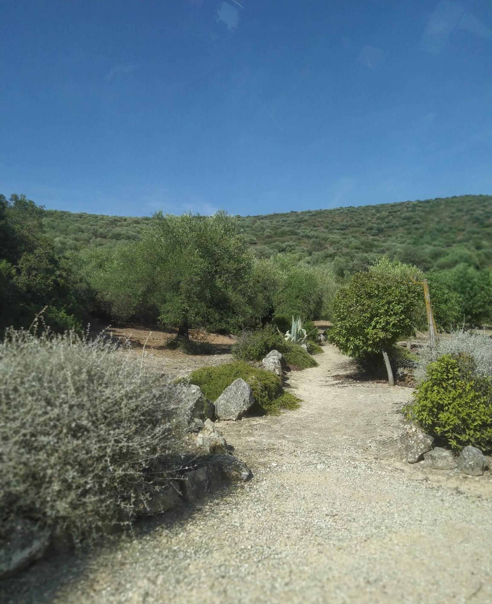 אסטפה Casas Rurales Cortijo La Canada חדר תמונה
