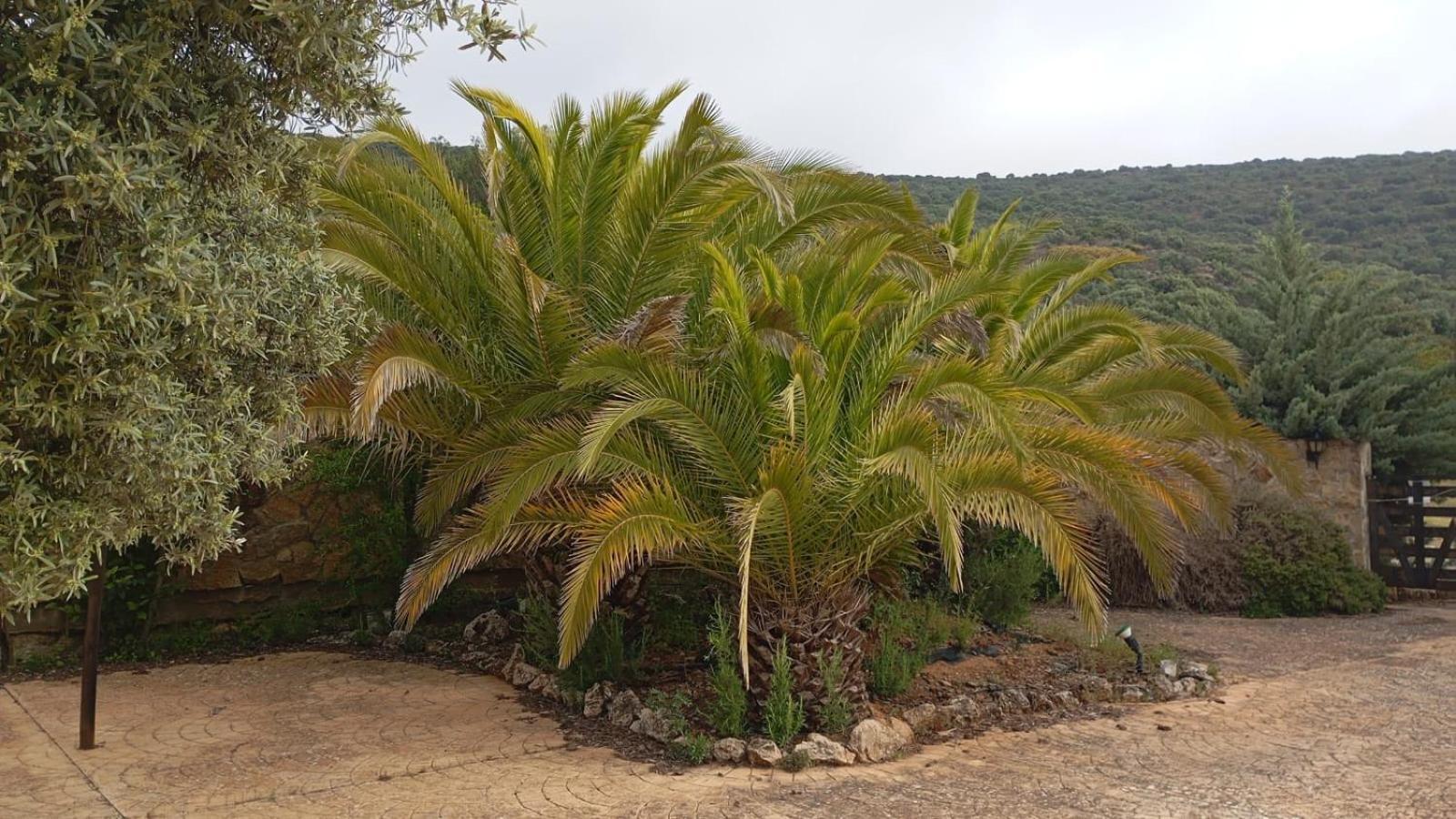 אסטפה Casas Rurales Cortijo La Canada מראה חיצוני תמונה