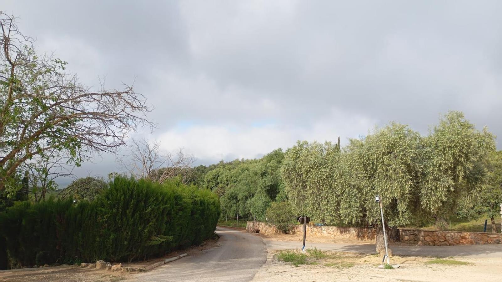 אסטפה Casas Rurales Cortijo La Canada מראה חיצוני תמונה